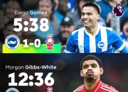 开云-太狠了！赛前布莱顿单刀错失——英超节点到来浙江队迎来里程碑备战法国杯，夏洛特黄蜂转会期调整名单的简单介绍-开云